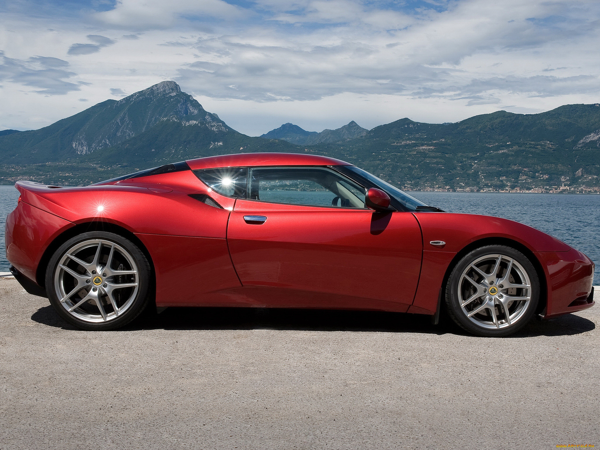 , lotus